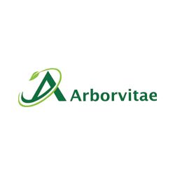 Arborvitae