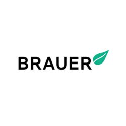 Brauer