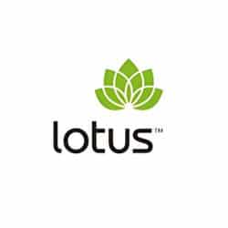 Lotus