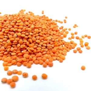 Lentils