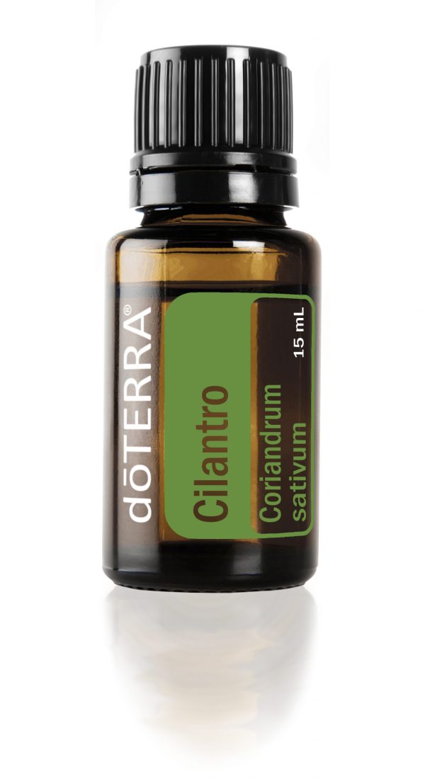 Cilantro 15ml