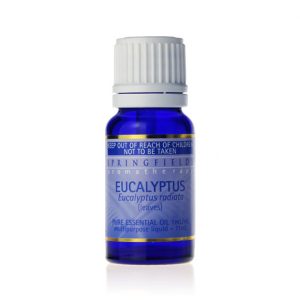 Eucalyptus