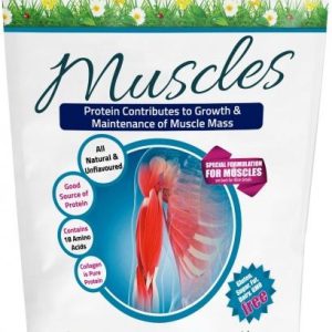 Gelatin Health Muscle 805234 2000x